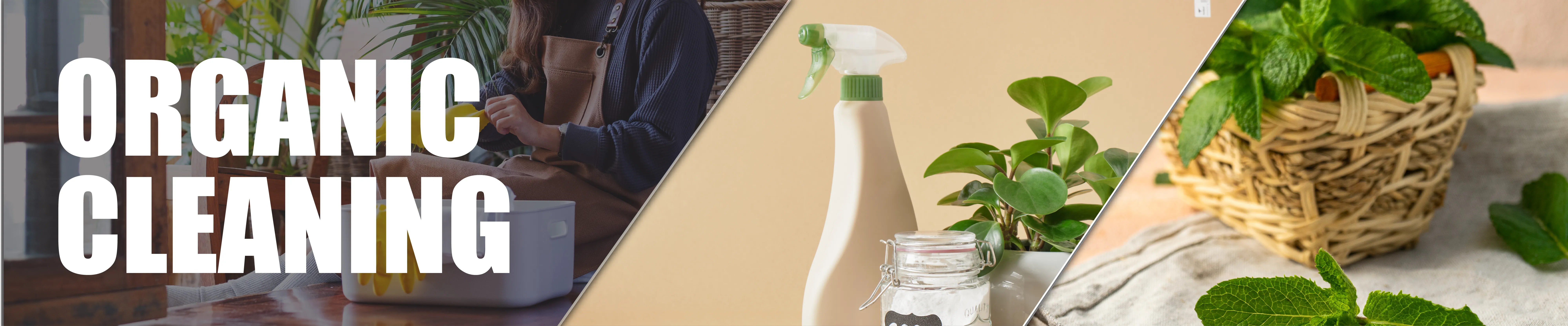 carpet cleaning in bronx, carpet cleaning in bronx, carpet cleaning bronx, carpet cleaners in bronx, carpet cleaners in bronx, commercial carpet cleaning, commercial carpet cleaning in bronx, bronx rug cleaners, rug cleaning services in bronx, same day carpet cleaning, same day rug cleaning