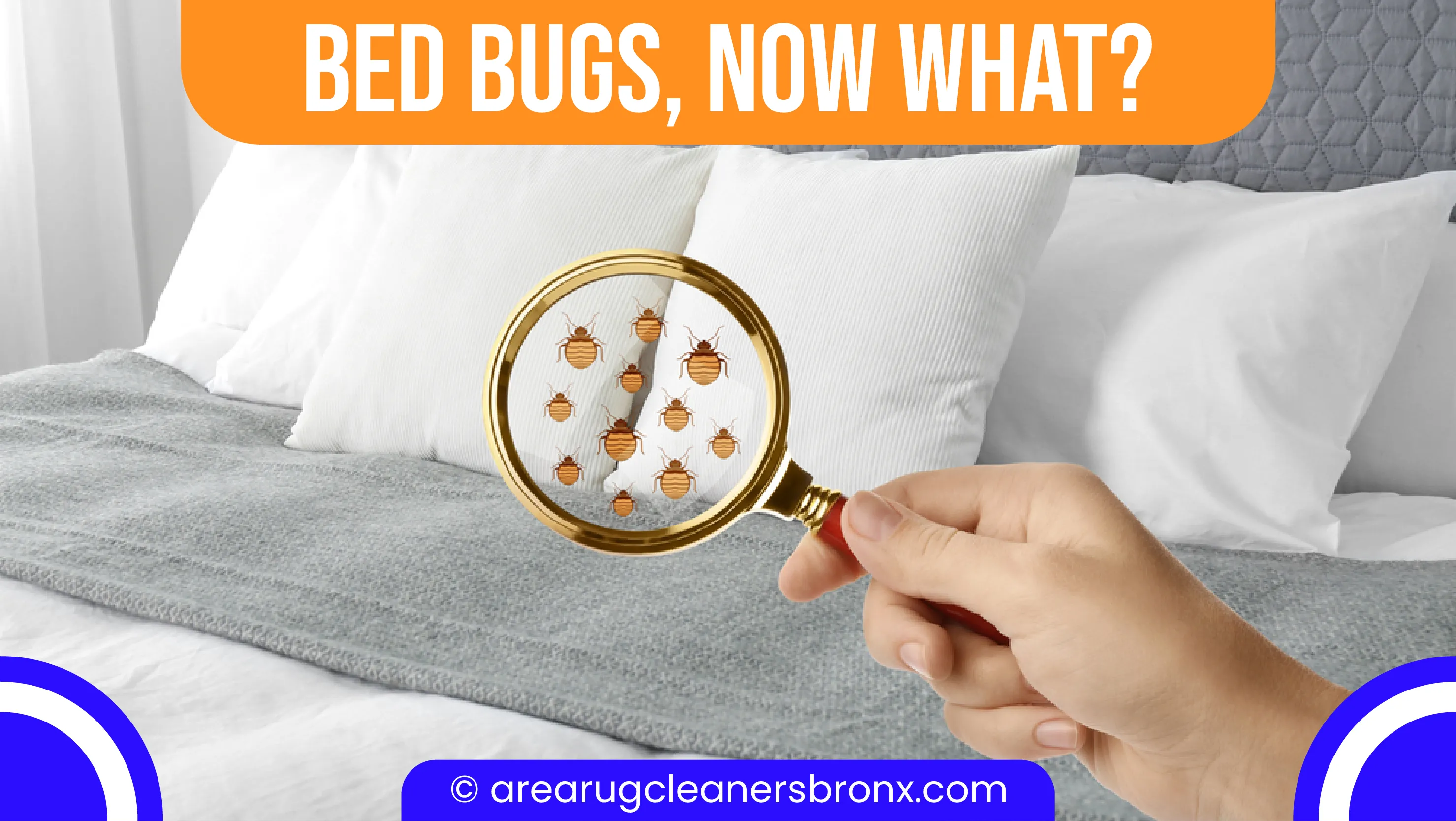 carpet cleaning in Brooklyn, carpet cleaner in Brooklyn, carpet cleaners in Brooklyn, carpet cleaners in Brooklyn, drapery cleaners in Brooklyn, carpet cleaning in Brooklyn, mattress cleaning in Brooklyn, mattress cleaners in Brooklyn, commercial carpet cleaning, commercial carpet cleaners in Brooklyn, Brooklyn rug cleaners, rug cleaning services in Brooklyn same day carpet cleaning, same day rug cleaning