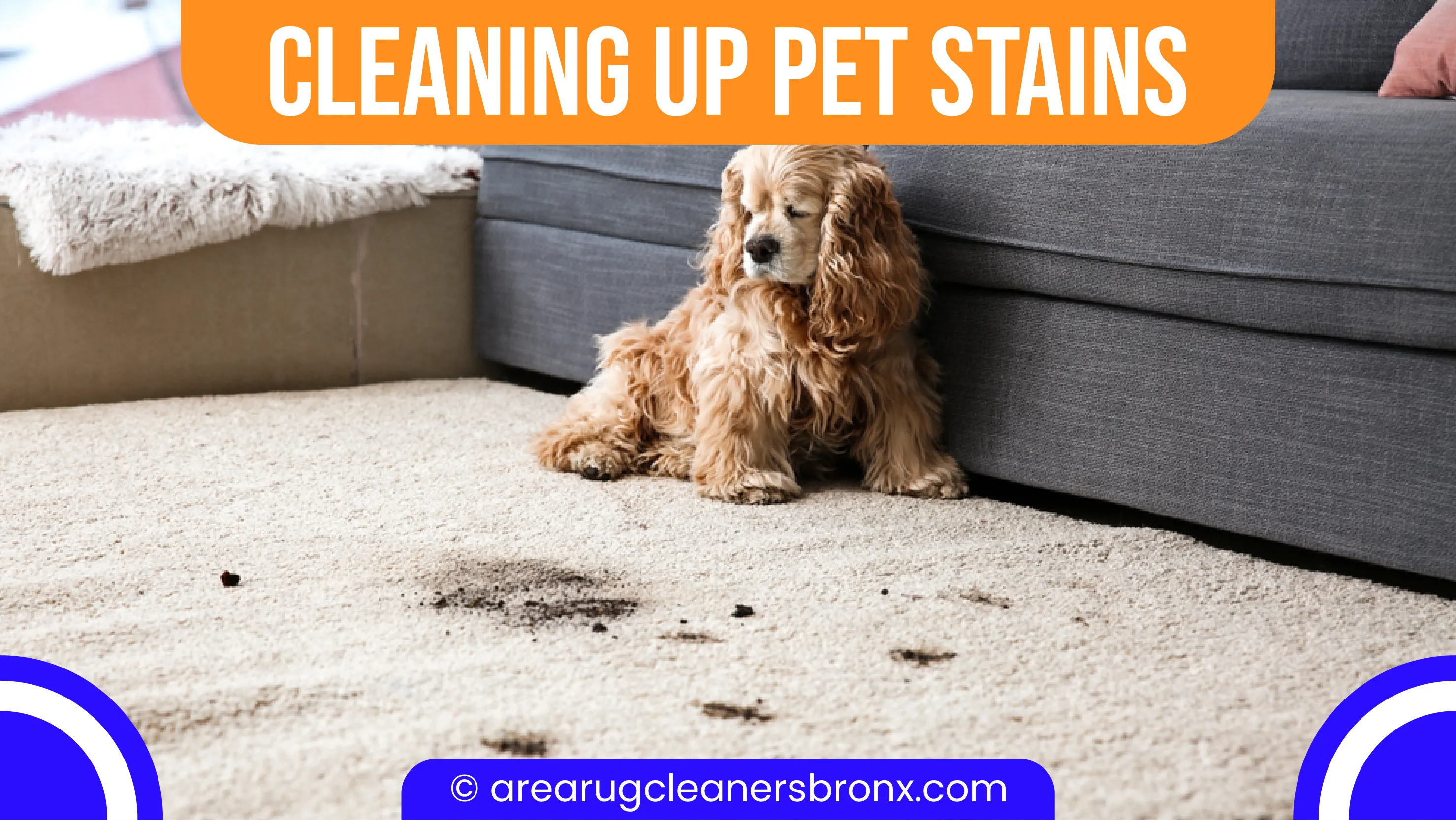 carpet cleaning in Brooklyn, carpet cleaner in Brooklyn, carpet cleaners in Brooklyn, carpet cleaners in Brooklyn, drapery cleaners in Brooklyn, carpet cleaning in Brooklyn, mattress cleaning in Brooklyn, mattress cleaners in Brooklyn, commercial carpet cleaning, commercial carpet cleaners in Brooklyn, Brooklyn rug cleaners, rug cleaning services in Brooklyn same day carpet cleaning, same day rug cleaning