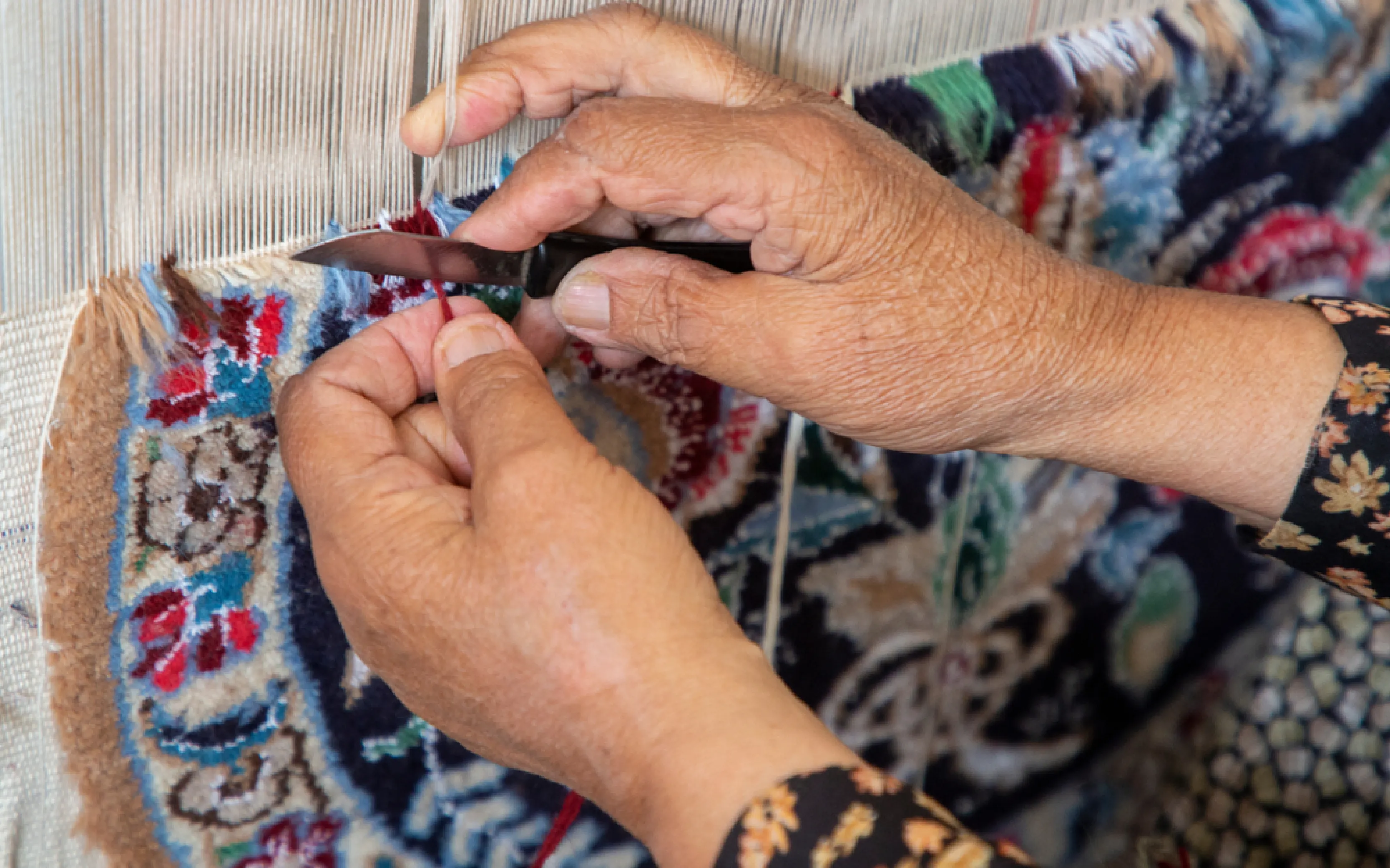 carpet cleaning in bronx, carpet cleaning in bronx, carpet cleaning bronx, carpet cleaners in bronx, carpet cleaners in bronx, commercial carpet cleaning, commercial carpet cleaning in bronx, bronx rug cleaners, rug cleaning services in bronx, same day carpet cleaning, same day rug cleaning