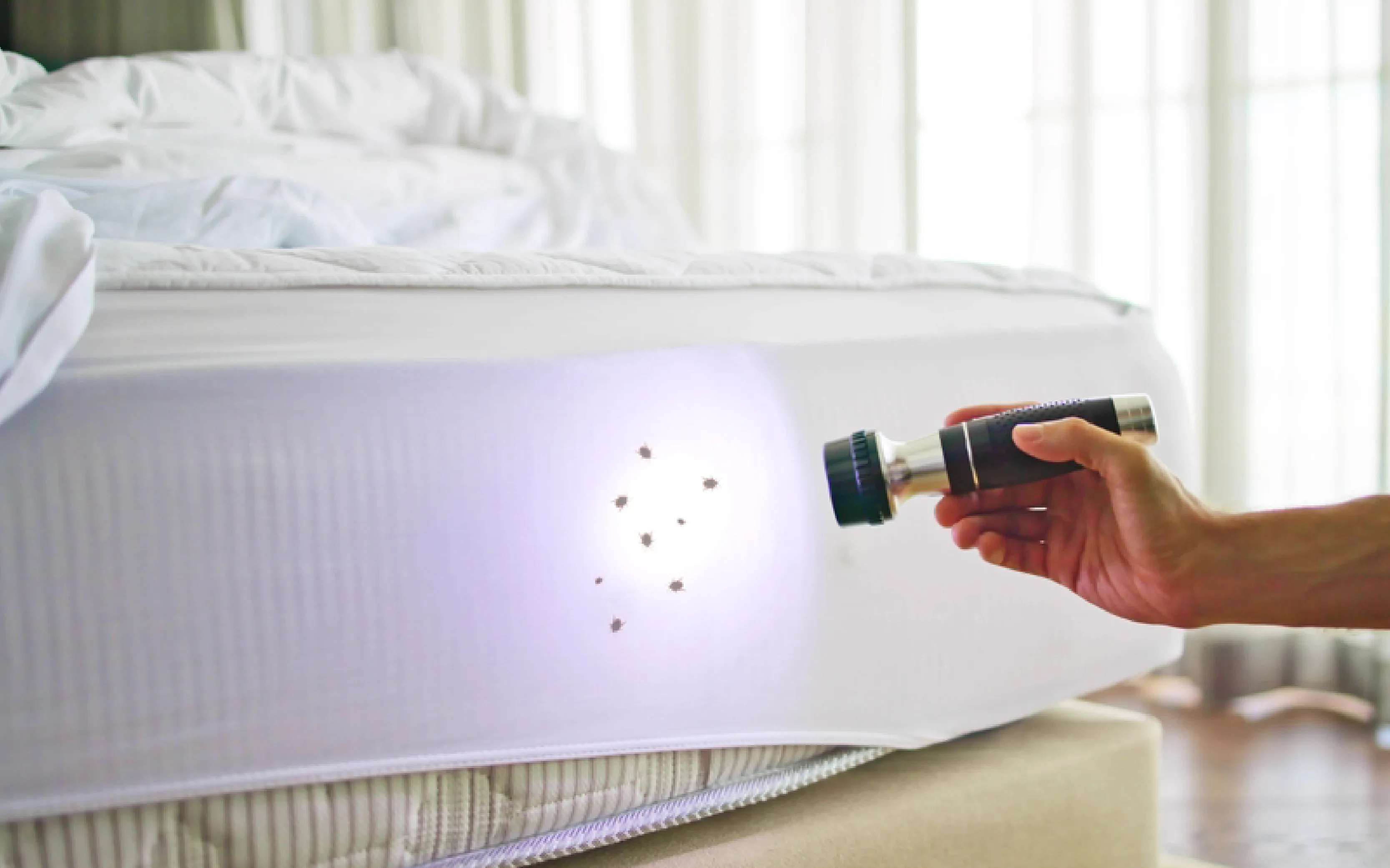 carpet cleaning in bronx, carpet cleaning in bronx, carpet cleaning bronx, carpet cleaners in bronx, carpet cleaners in bronx, commercial carpet cleaning, commercial carpet cleaning in bronx, bronx rug cleaners, rug cleaning services in bronx, same day carpet cleaning, same day rug cleaning