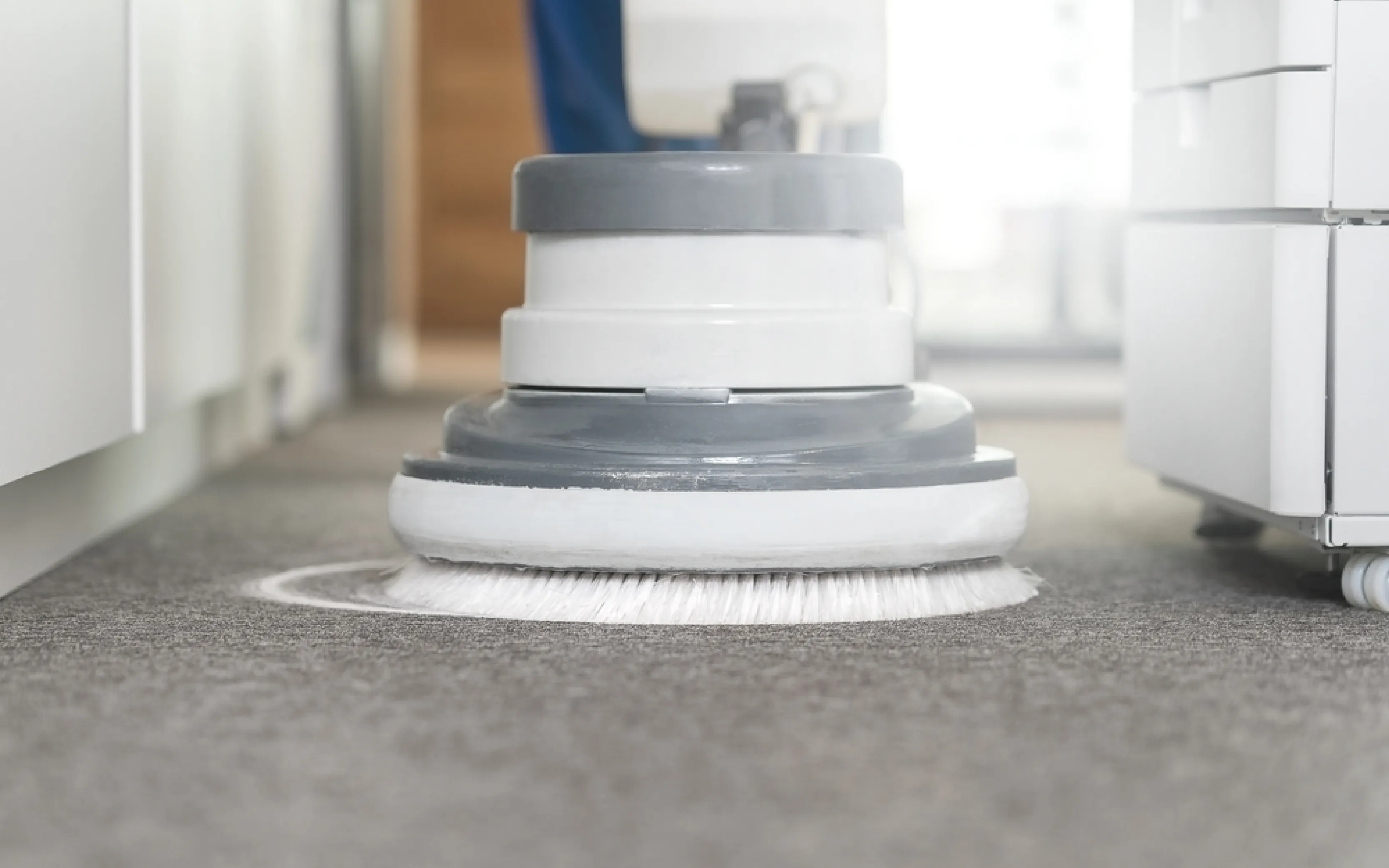 carpet cleaning in bronx, carpet cleaning in bronx, carpet cleaning bronx, carpet cleaners in bronx, carpet cleaners in bronx, commercial carpet cleaning, commercial carpet cleaning in bronx, bronx rug cleaners, rug cleaning services in bronx, same day carpet cleaning, same day rug cleaning