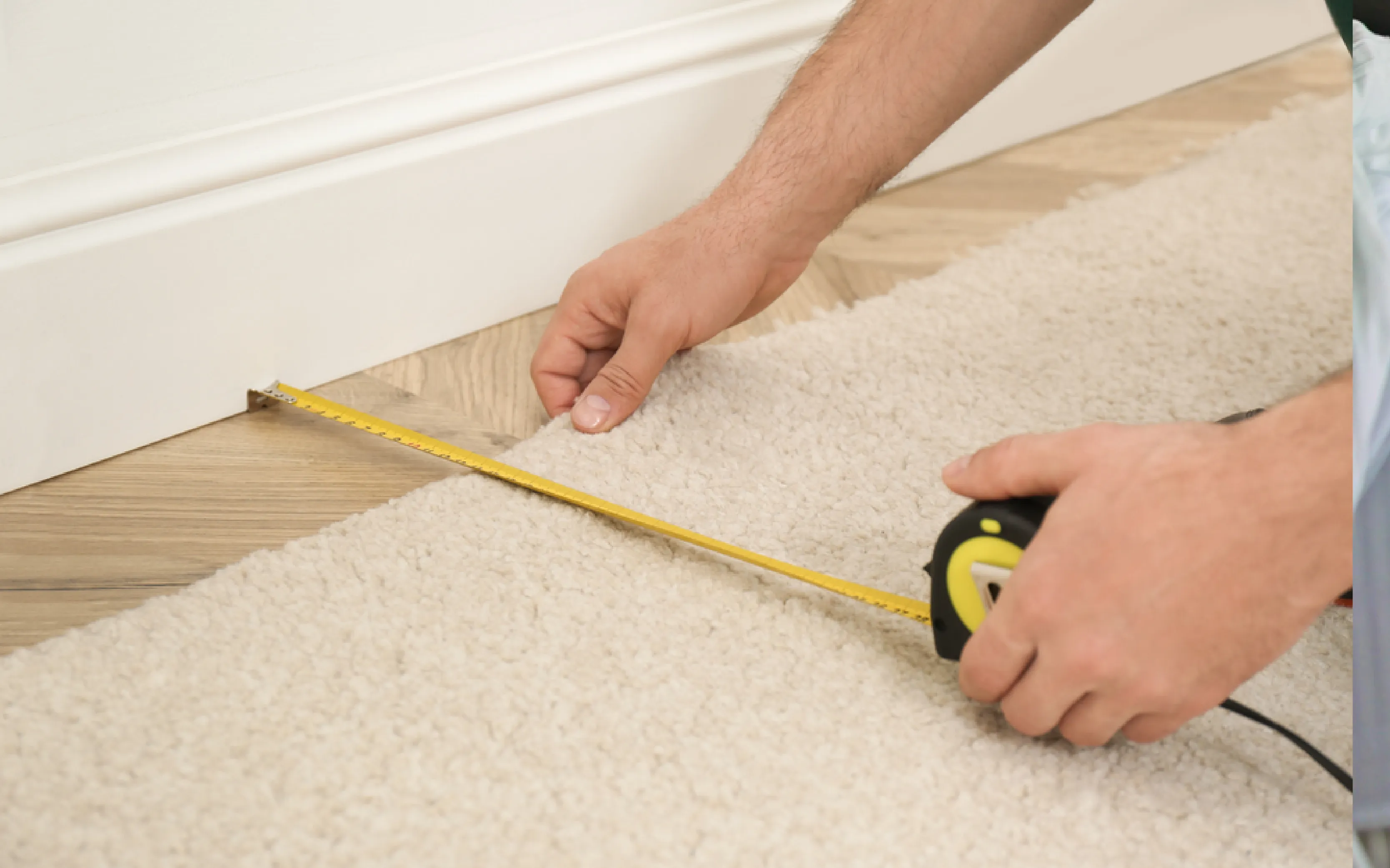 carpet cleaning in bronx, carpet cleaning in bronx, carpet cleaning bronx, carpet cleaners in bronx, carpet cleaners in bronx, commercial carpet cleaning, commercial carpet cleaning in bronx, bronx rug cleaners, rug cleaning services in bronx, same day carpet cleaning, same day rug cleaning