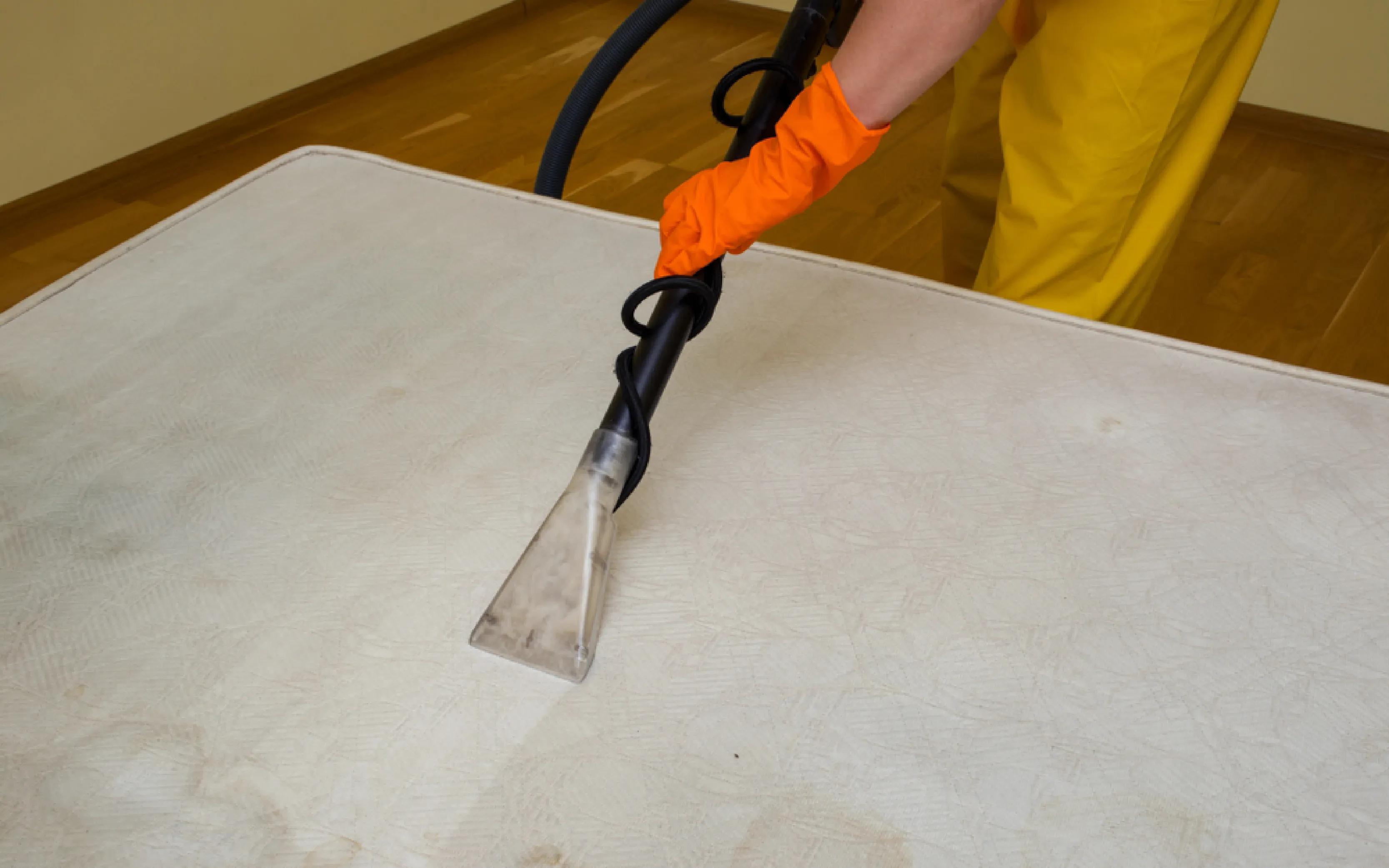 carpet cleaning in bronx, carpet cleaning in bronx, carpet cleaning bronx, carpet cleaners in bronx, carpet cleaners in bronx, commercial carpet cleaning, commercial carpet cleaning in bronx, bronx rug cleaners, rug cleaning services in bronx, same day carpet cleaning, same day rug cleaning