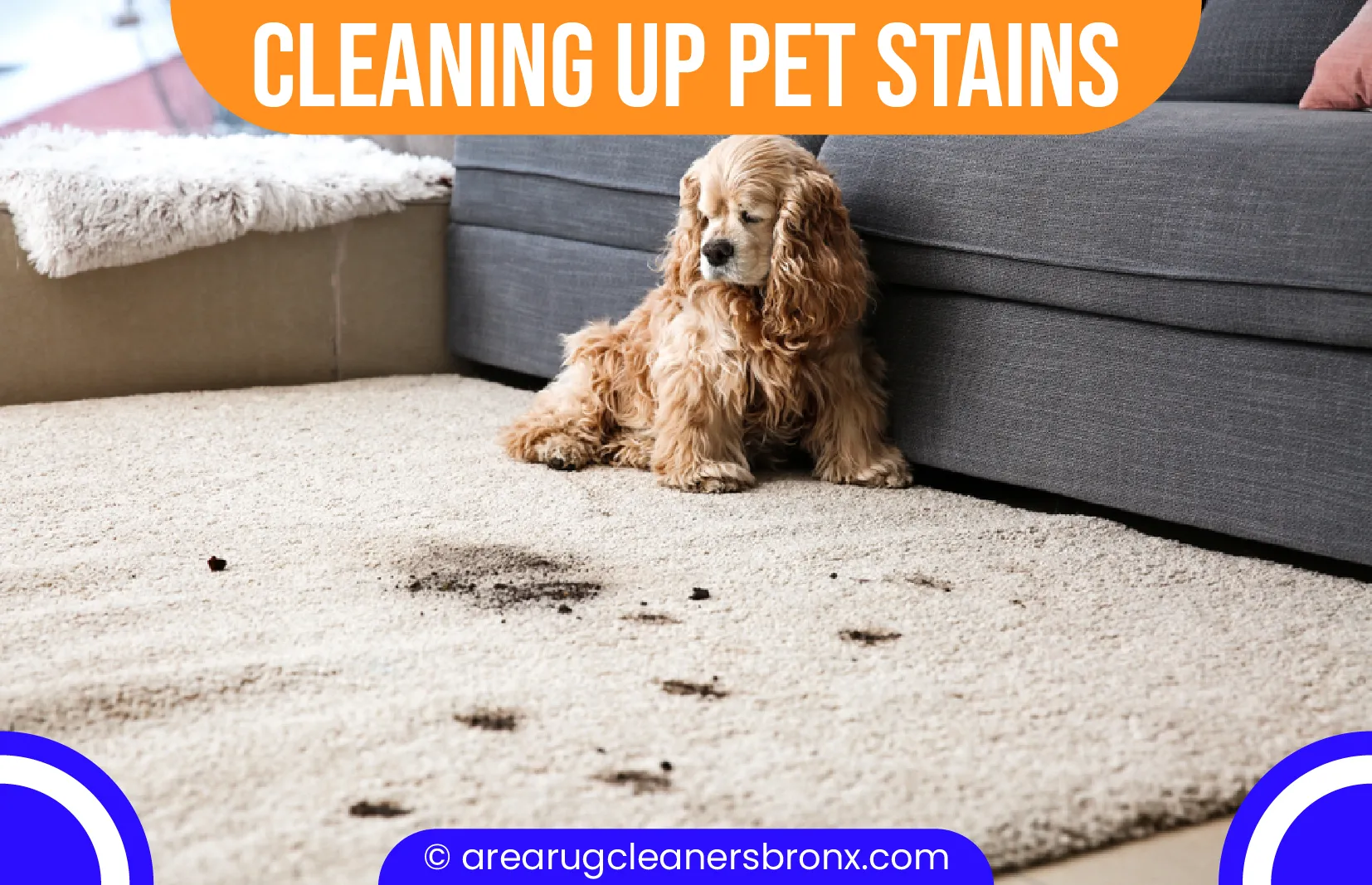 carpet cleaning in Bronx, carpet cleaner in Bronx, carpet cleaners in Bronx, carpet cleaners in Bronx, drapery cleaners in Bronx, carpet cleaning in Bronx, mattress cleaning in Bronx, mattress cleaners in Bronx, commercial carpet cleaning, commercial carpet cleaners in Bronx, Bronx rug cleaners, rug cleaning services in Bronx same day carpet cleaning, same day rug cleaning